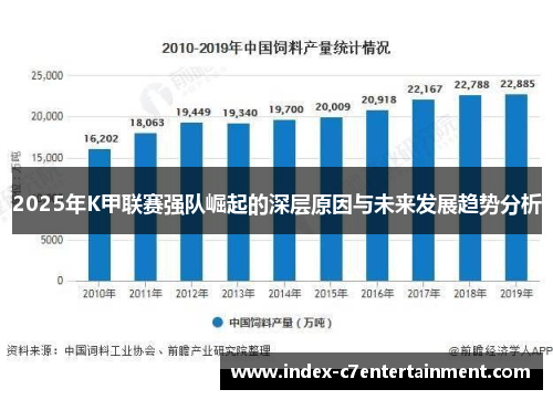 2025年K甲联赛强队崛起的深层原因与未来发展趋势分析