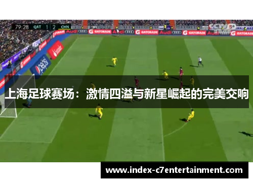 上海足球赛场：激情四溢与新星崛起的完美交响