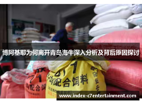 博阿基耶为何离开青岛海牛深入分析及背后原因探讨