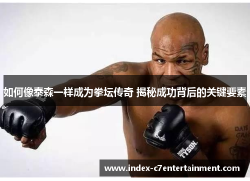 如何像泰森一样成为拳坛传奇 揭秘成功背后的关键要素
