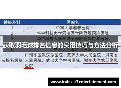 获取羽毛球排名信息的实用技巧与方法分析