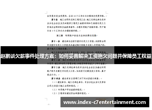 赵鹏谈欠薪事件处理方案：如何妥善解决工资拖欠问题并保障员工权益