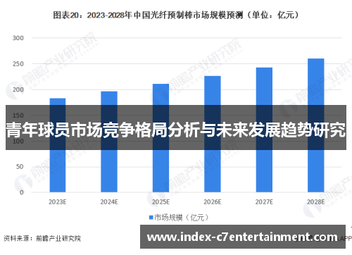 青年球员市场竞争格局分析与未来发展趋势研究