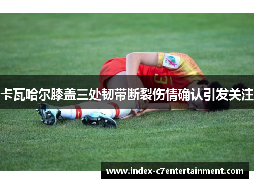 卡瓦哈尔膝盖三处韧带断裂伤情确认引发关注