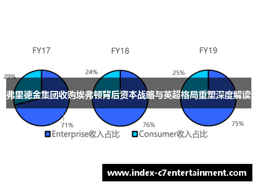 弗里德金集团收购埃弗顿背后资本战略与英超格局重塑深度解读 弗里德金集团收购埃弗顿背后资本战略与英超格局重塑深度解读